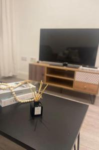 Apartment 30 mins from central London