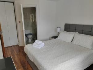 Luxury Two Bedroom Apartment in Bayswater