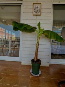 Apartamento con terraza y parking en primera línea