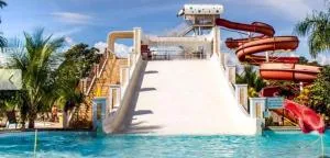 Lacqua diRoma I - Palmelo