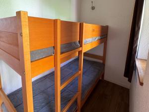 Studio au pied des pistes avec animaux admis - FR-1-181-2209
