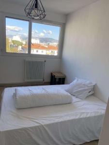 Proche promenade des anglais