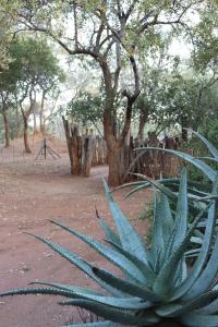 Murchison View Cottage