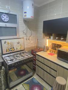 شقق للايجار في مدينتي