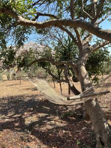 VILLA MÀRCATO tra Monti & Mare