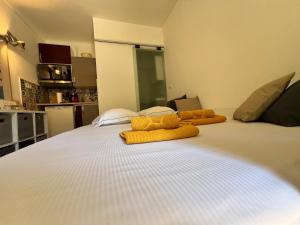 Charmante studette - Centre Nice