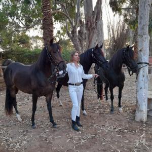 La cabaña estancia Los Tilos