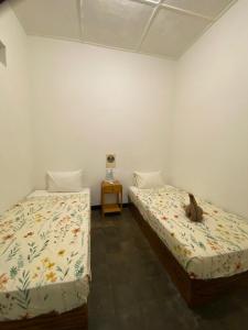 Ijen & Sleep Homestay