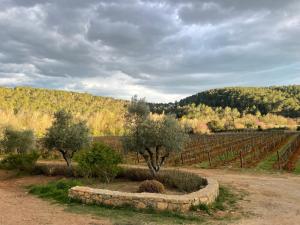Maisons de vacances Villa Font du Roux - piscine chauffee - petanque - adapte mobilite reduite : photos des chambres