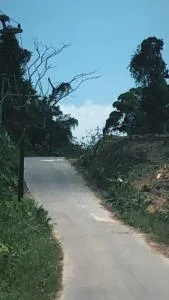 Sítio green spot - Tarumã