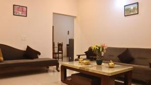 Dolphin service apptment