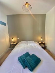 Appartements Le Cocon : calme et moderne a 15 min Futuroscope : photos des chambres