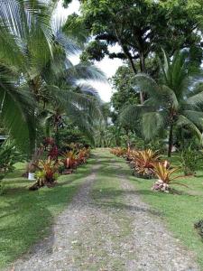 KintsugiKanjiatCocles