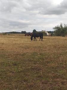 Gîte cadre champêtre