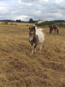 Gîte cadre champêtre