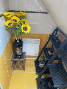 Sejours chez l'habitant La Marine Louannec : photos des chambres