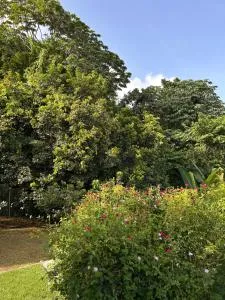 Villa Selma Martinique - Gros-Morne