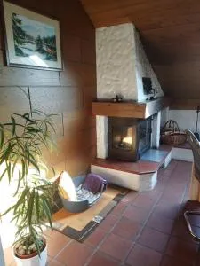 Aussergewöhnliche Atelierferienwohnung mit Balkon an der Donau - Остергофен