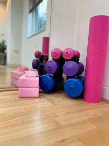 Beautiful Garden View Apartment London