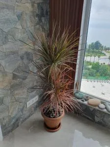 Вип апартаменты - Minda