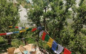 Himalayan Yew Camps and Homestay by StayApart