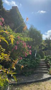 Sejours chez l'habitant La Marine Louannec : photos des chambres