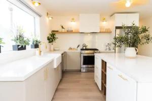 Bright, Spacious 4 BD in the Heart of Little Italy