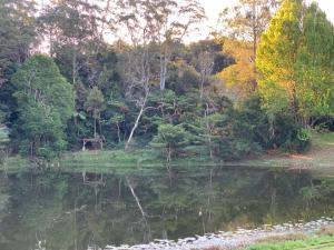 Montville Country Cabins