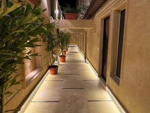 Marron Pharaohs Horus