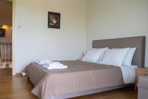 Anasemia Villa Pelion