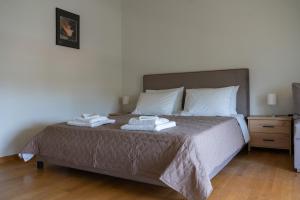 Anasemia Villa Pelion