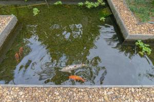 2 Bedroom in beautiful beach front condo