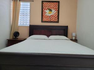 Cozy Apartment Studio