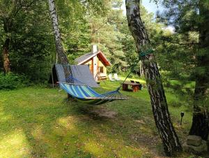 Survivalowa chata w lesie