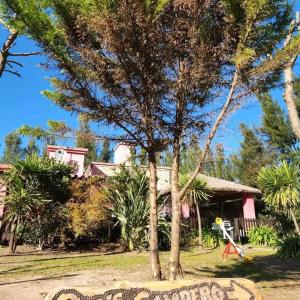 Hotel y Casa de Campo Oasis Campero - Ezeiza Aeropuerto -San Vicente