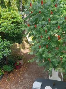 Maison avec jardin près de Beauval