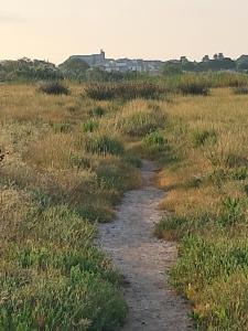 Maisons de vacances Clos Gabmy entre plage et garrigue : photos des chambres