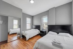 Amazing Recently Rehabbed STL Unit in Prime Soulard Location 713a