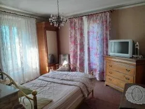 Antique maison de montagne en ville ! - 蒙热内夫尔