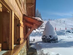 Chalet cosy aux Gets, 3 chambres, 200m des pistes, Wi-Fi, jardin, garage, linge inclus - FR-1-671-232