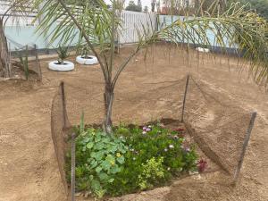 Kali self catering - Ubytování bez kategorie ve městě Swakopmund