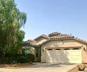 Palmen Maricopa - Maricopa