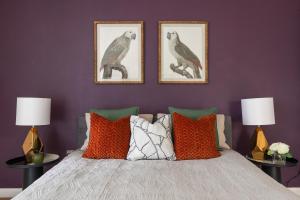 King Studio Apartment with Garden and Parking