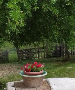 AgriBnB Casa Furnaredda