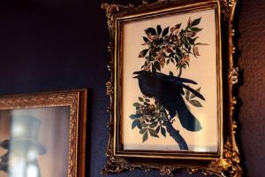 The Crow - Sophisticated East Hill Sanctuary