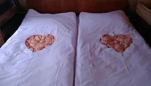 House on gomi mountain სახლი გომისმთაზე - Bakhmaro