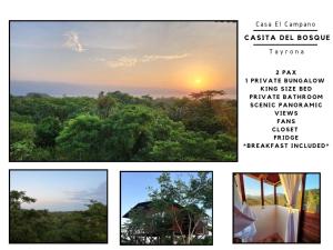 La Casita del Bosque