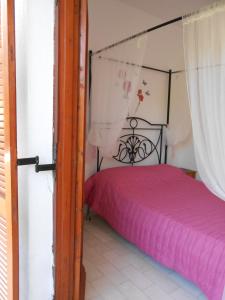 ANAMAMA -SOCRATES studios