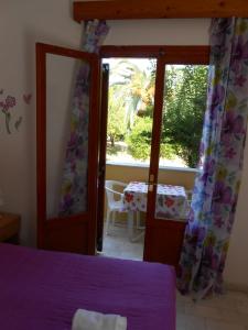 ANAMAMA -SOCRATES studios