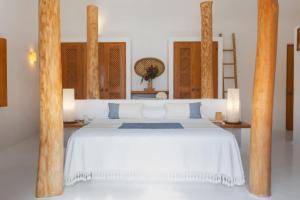 Private Villas in Careyes